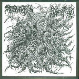 Blood Incantation / Spectral Voice