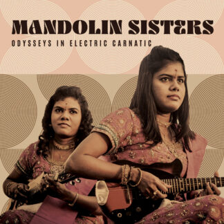 Odysseys in Electric Carnatic