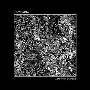 Adapting // Crawling